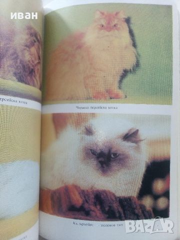 Домашната котка - А.Фогел,Х.Шнайпер - 1988г., снимка 5 - Енциклопедии, справочници - 45208024