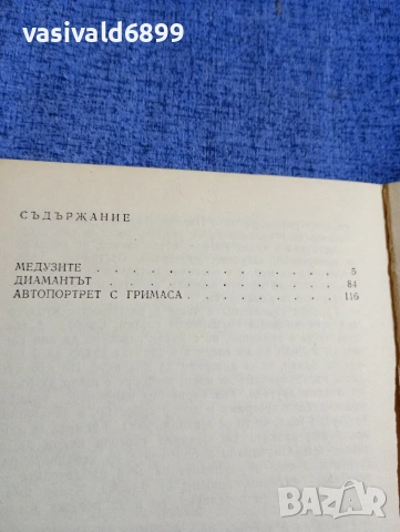 Димитър Василев - Автопортрет с гримаса , снимка 5 - Българска литература - 54284114