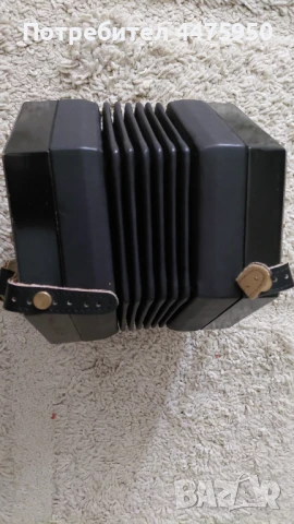 Англо концертина McNeela Swan C/G 30 копчета, снимка 4 - Акордеони - 51273707