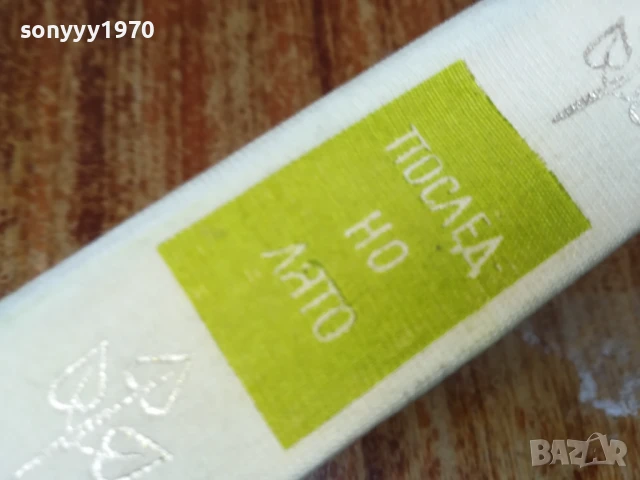 ПОСЛЕДНО ЛЯТО-РОМАН 2507250827, снимка 6 - Художествена литература - 51135584