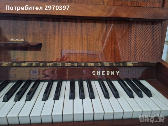 Пиано cherny