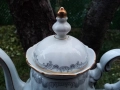 Баварски чайник-столетник, снимка 2
