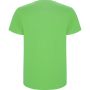 Нова детска тениска с героя Симба в зелен цвят, снимка 2