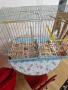 Клетка за птици, снимка 1
