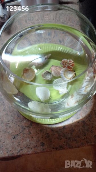 Стъклена купа за аквариум или декорация, снимка 1