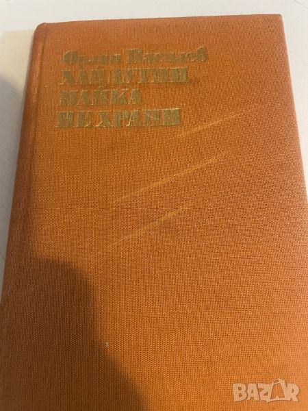 Хайдутин майка не храни, снимка 1