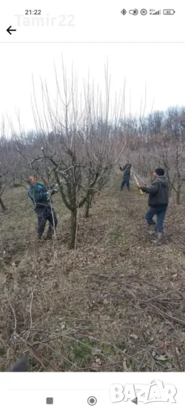 Овощарски услуги, зимни резитби, снимка 1