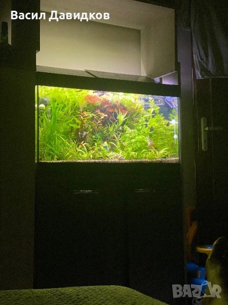 Аквариум с поставка EHEIM Vivaline LED 126 - антрацит, снимка 1