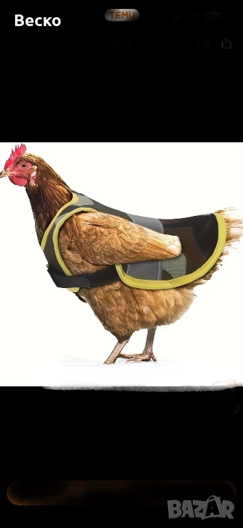 Протектор за кокошки, снимка 1