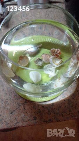 Стъклена купа за аквариум или декорация, снимка 1 - Аквариуми - 45477851