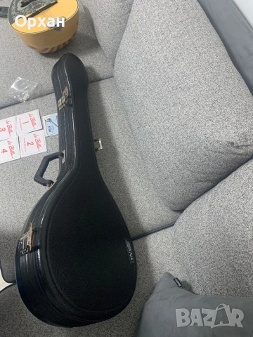 Професионално гръцко бузуки (тетрахордо) с адаптер TAP + Твърд куфар, снимка 12 - Друга електроника - 53916002