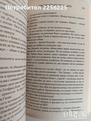 Правилата на измамата, снимка 2 - Художествена литература - 52707801