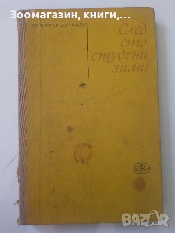 След сто студени зими - Димитър Василев, снимка 1 - Художествена литература - 45594525