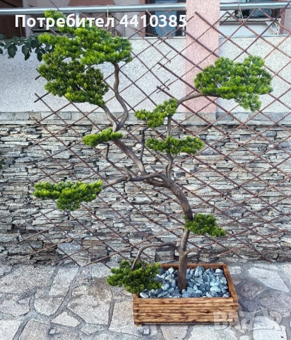 ръчно изработен бонсай Японски стил(уникат) , снимка 6 - Декорация за дома - 52833000