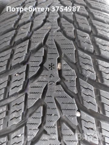 205 55 16 зимни гуми NOKIAN , снимка 2 - Гуми и джанти - 53223465