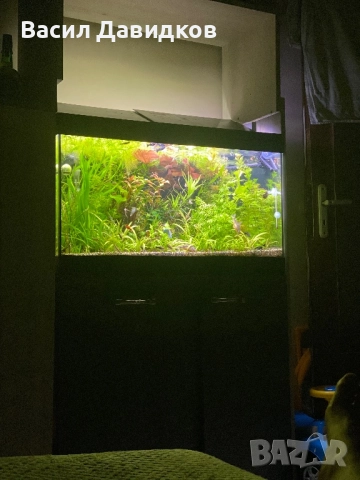 Аквариум с поставка EHEIM Vivaline LED 126 - антрацит