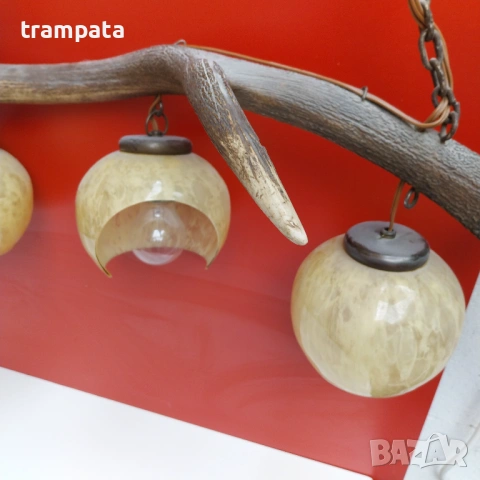 НАЙ ДОБРАТА ОФЕРТА Полюлей от Еленов рог / рога , снимка 6 - Други ценни предмети - 54160208