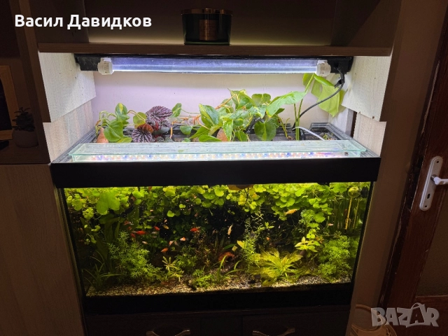 Въглерод пълен комплект , осветление 80См , снимка 2 - Оборудване за аквариуми - 52163042