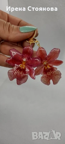 Обеци с естествен цвят на мини орхидея Miltonia. Цветче с размери 5/4,5 см. , снимка 5 - Обеци - 51090714
