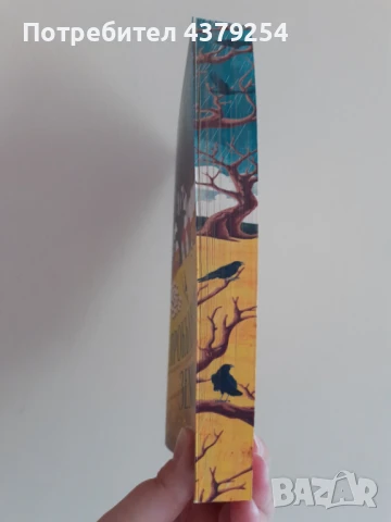 Прокълната земя - Клеър Лесли Хол (с цветни порезки), снимка 2 - Художествена литература - 51090745