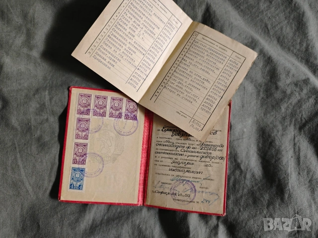 стар документ Диплома счетоводител 1953