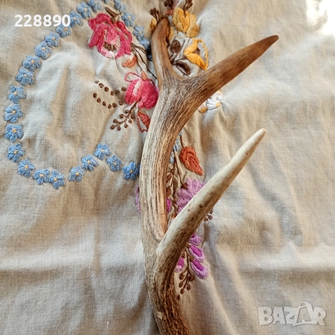 Еленов рог , снимка 3 - Антикварни и старинни предмети - 52639474