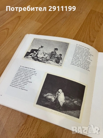 Книга за Гоя (Испански език), снимка 4 - Енциклопедии, справочници - 54242896