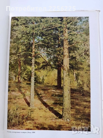 Шишкин, снимка 4 - Специализирана литература - 53936149