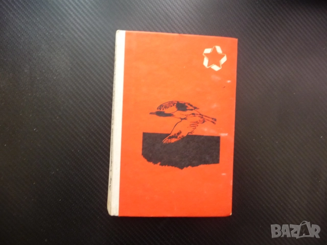 Морски напеви Абу Сарсенбаев роман морето необятно чайки гларуси