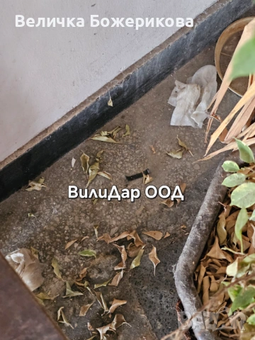 Почистване на входове , снимка 9 - Почистване на входове - 53663804