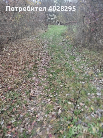 Имот в с.Габер , снимка 3 - Парцели - 53981887
