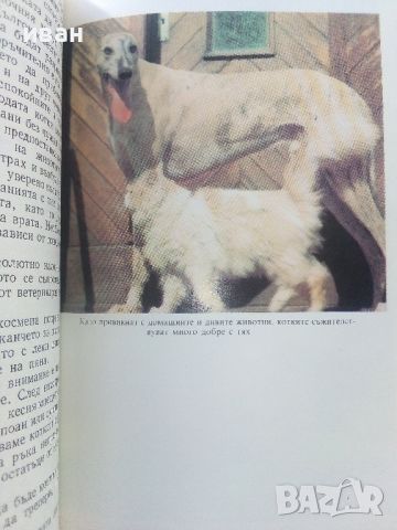 Домашната котка - А.Фогел,Х.Шнайпер - 1988г., снимка 3 - Енциклопедии, справочници - 45208024