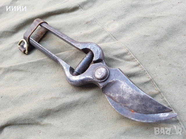 Лозарска ножица 