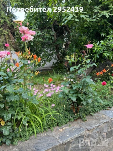 Къща за гости, снимка 7 - Къщи - 36007488