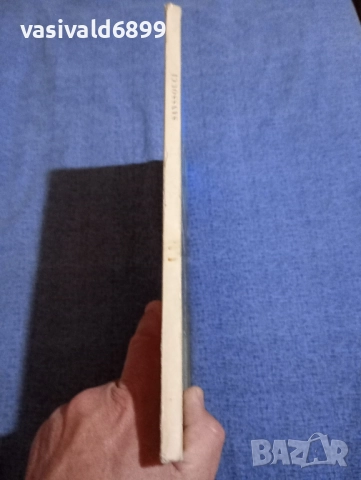 Сан - суси , снимка 3 - Други - 51772895