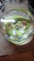 Стъклена купа за аквариум или декорация, снимка 1 - Аквариуми - 45477851