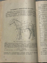 Наръчник по Коневъдство Земиздат 1952, снимка 11