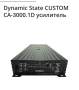 Усилвател Моноблок 3к Dynamic State Custom CA 3000.1 class D, снимка 13