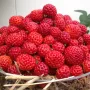 ЯГОДА МАЛИНА FRAMBERRY, снимка 1