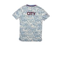 Мъжка тениска Nike x Manchester City F.C.  размер: М , снимка 3 - Тениски - 45456894