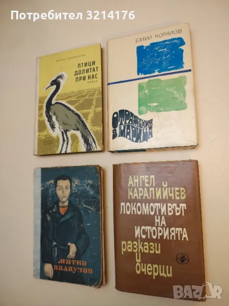 Отражения в Марица - Емил Коралов, снимка 1