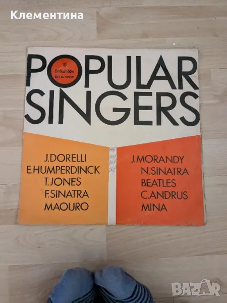 popular singers, снимка 1