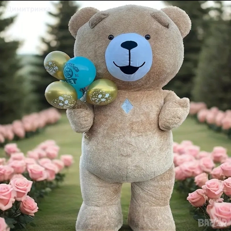 Продава -Мечета изненада , снимка 1