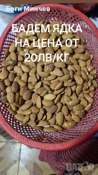 Бадем ядка , снимка 1