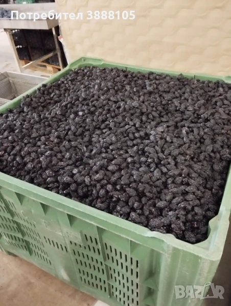 Сушене на сливи и чушки на ишлеме, снимка 1