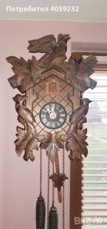 Шварцвалдова кукувичка, снимка 1