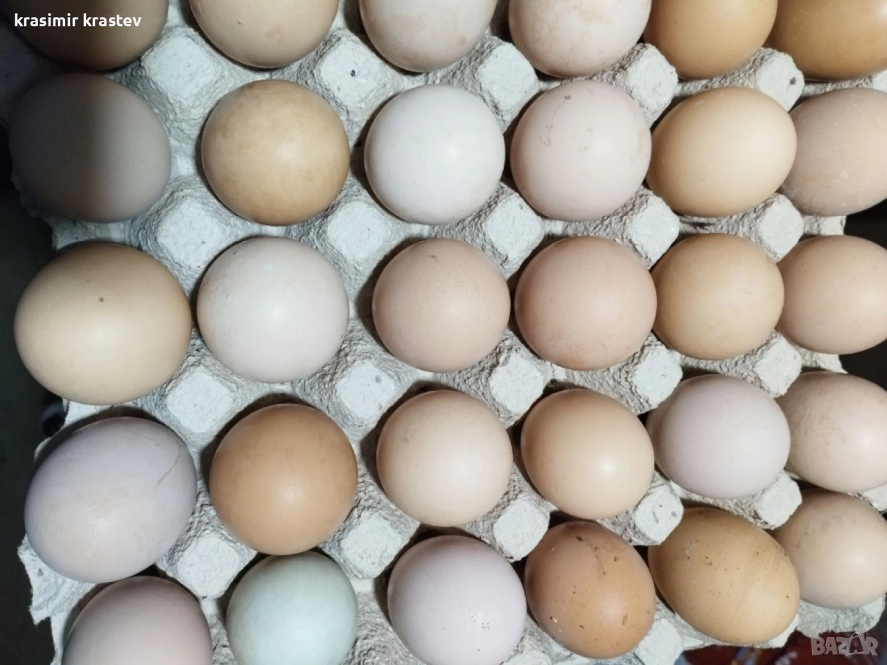 еко яйца , снимка 1