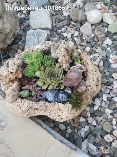 Кашпи от естествен камък бигор, снимка 1