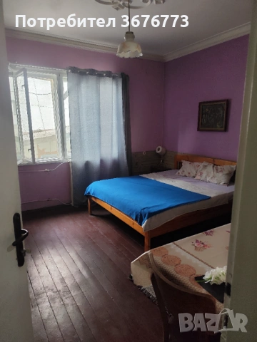 Стая под наем, София 