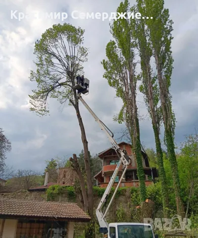 Рязане, кастрене и премахване на опасни и високи дървета в гр. Асеновград, снимка 5 - Други услуги - 49002038